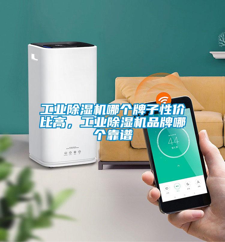 工業(yè)除濕機(jī)哪個(gè)牌子性價(jià)比高，工業(yè)除濕機(jī)品牌哪個(gè)靠譜