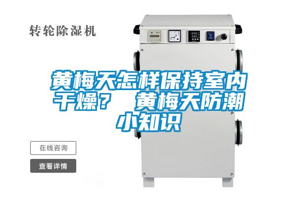 黃梅天怎樣保持室內(nèi)干燥？ 黃梅天防潮小知識