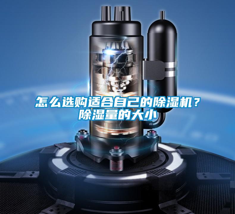 怎么選購適合自己的除濕機？除濕量的大小