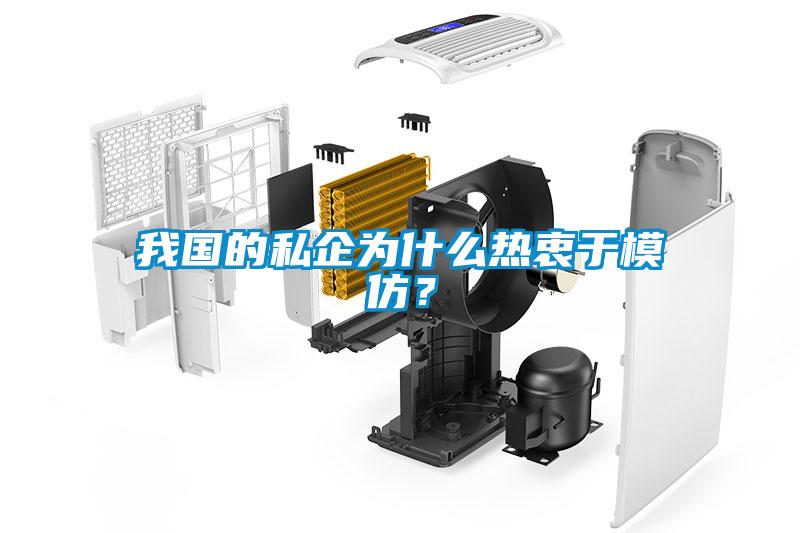 我國的私企為什么熱衷于模仿？