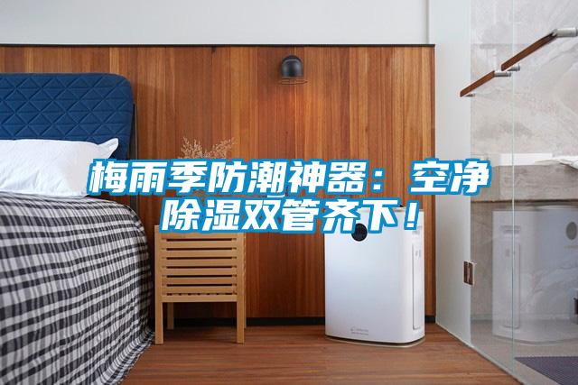 梅雨季防潮神器：空凈除濕雙管齊下！