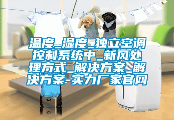 溫度_濕度_獨立空調(diào)控制系統(tǒng)中_新風處理方式_解決方案_解決方案-實力廠家官網(wǎng)