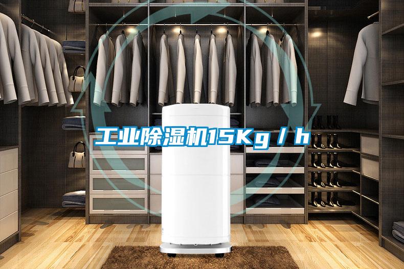工業(yè)除濕機(jī)15Kg／h