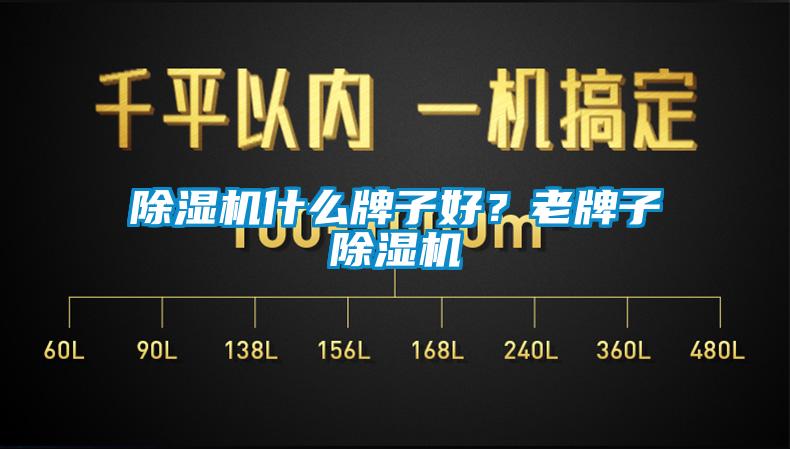除濕機(jī)什么牌子好？老牌子除濕機(jī)