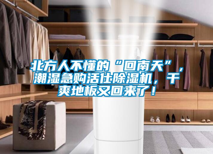 北方人不懂的“回南天”，潮濕急購(gòu)活仕除濕機(jī)，干爽地板又回來(lái)了！