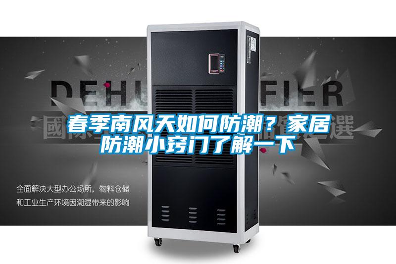 春季南風天如何防潮？家居防潮小竅門了解一下