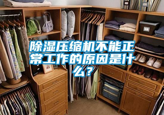 除濕壓縮機(jī)不能正常工作的原因是什么？
