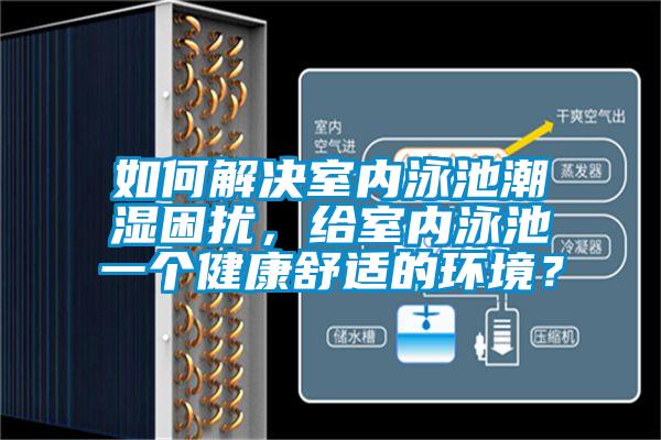 如何解決室內(nèi)泳池潮濕困擾，給室內(nèi)泳池一個健康舒適的環(huán)境？