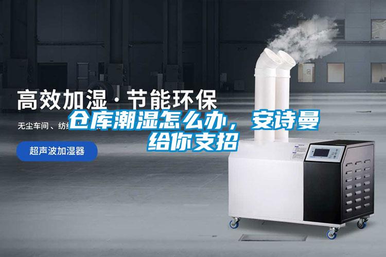 倉(cāng)庫(kù)潮濕怎么辦，安詩(shī)曼給你支招