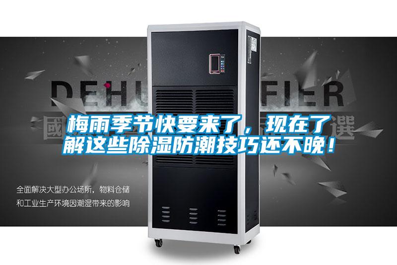 梅雨季節(jié)快要來(lái)了，現(xiàn)在了解這些除濕防潮技巧還不晚！