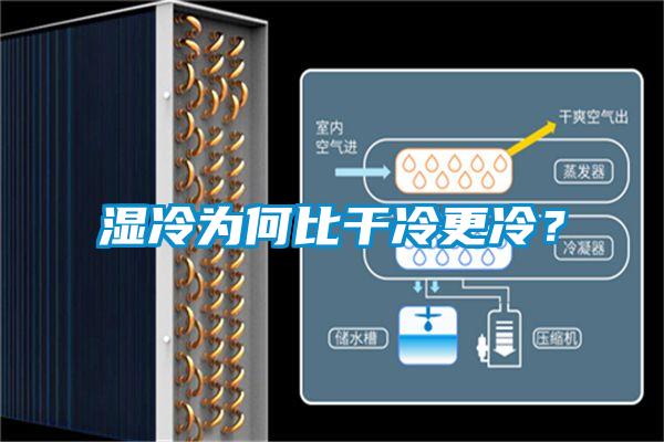 濕冷為何比干冷更冷？