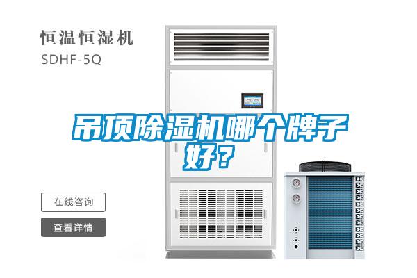吊頂除濕機(jī)哪個(gè)牌子好？