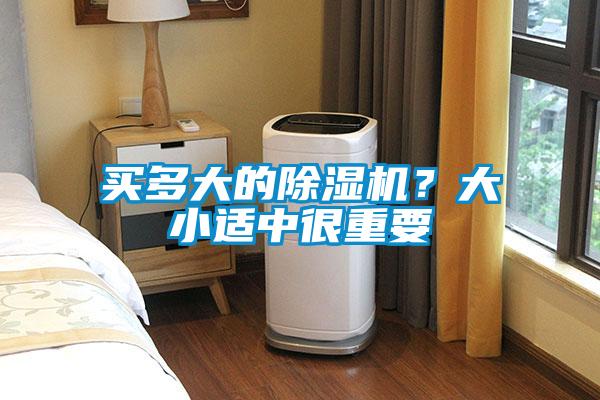 買多大的除濕機？大小適中很重要