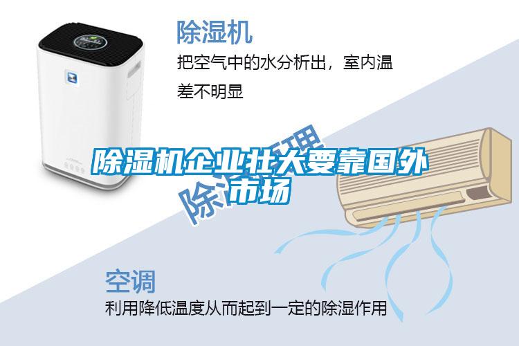 除濕機(jī)企業(yè)壯大要靠國(guó)外市場(chǎng)