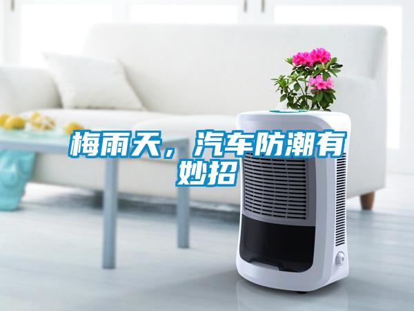 梅雨天，汽車防潮有妙招