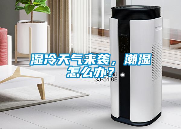 濕冷天氣來襲，潮濕怎么辦？