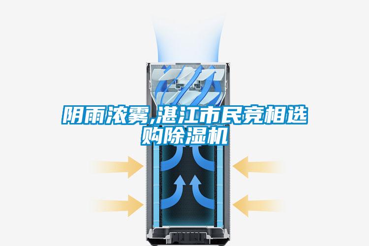 陰雨濃霧,湛江市民競(jìng)相選購(gòu)除濕機(jī)