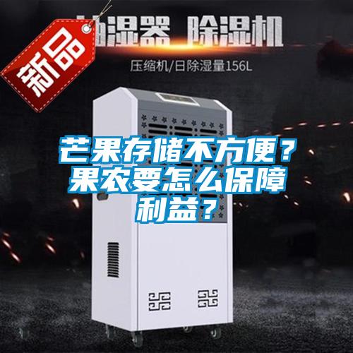 芒果存儲不方便？果農(nóng)要怎么保障利益？