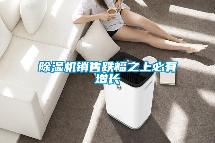 除濕機(jī)銷售跌幅之上必有增長(zhǎng)