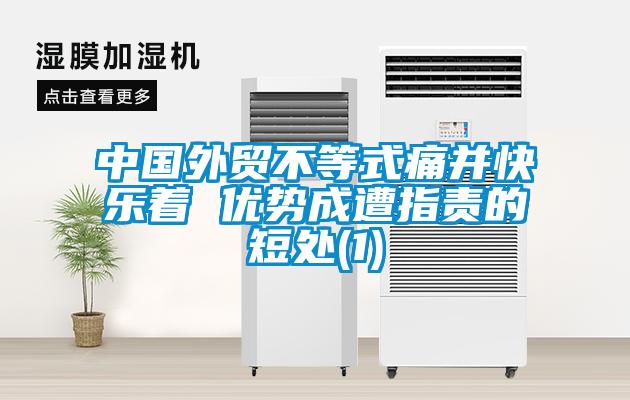 中國外貿(mào)不等式痛并快樂著 優(yōu)勢成遭指責(zé)的短處(1)