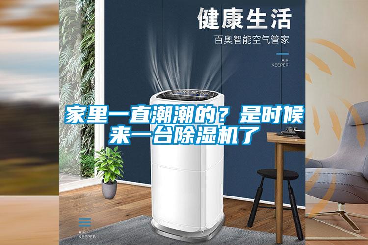 家里一直潮潮的？是時候來一臺除濕機了