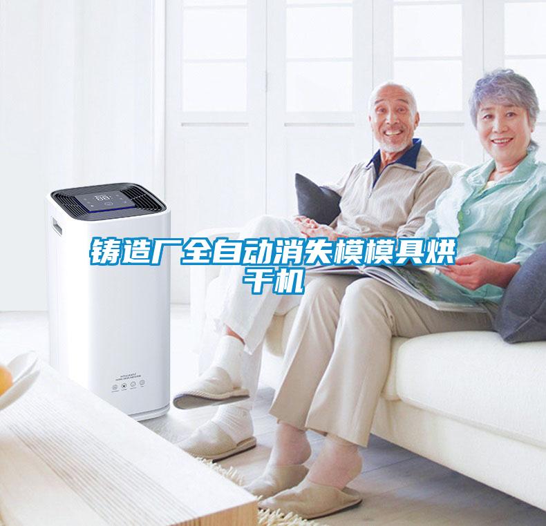 鑄造廠全自動消失模模具烘干機(jī)