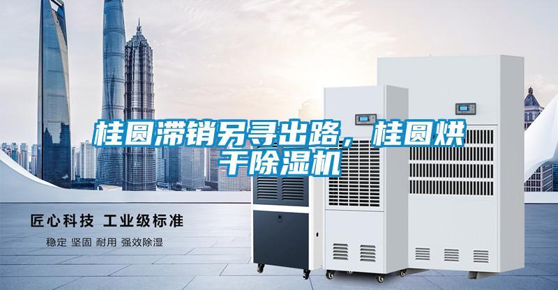 桂圓滯銷另尋出路，桂圓烘干除濕機(jī)