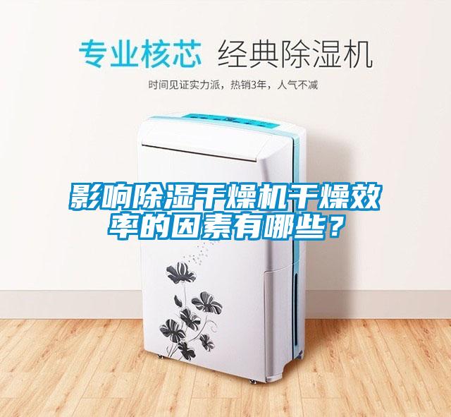 影響除濕干燥機(jī)干燥效率的因素有哪些？