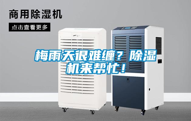 梅雨天很難纏？除濕機(jī)來(lái)幫忙！