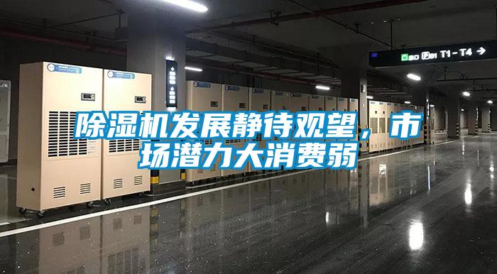 除濕機(jī)發(fā)展靜待觀望，市場潛力大消費(fèi)弱