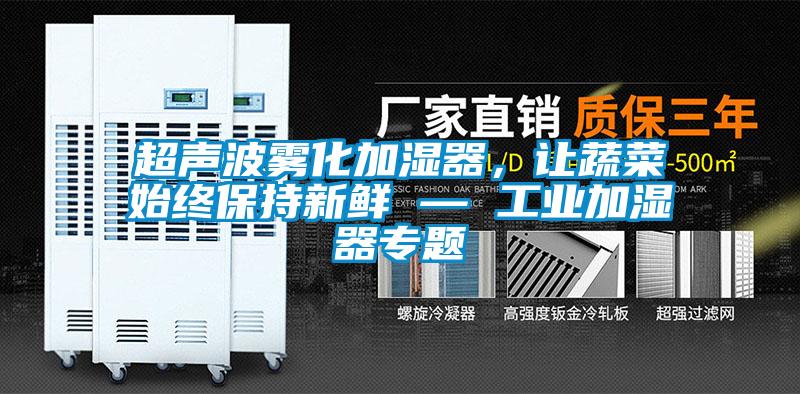 超聲波霧化加濕器，讓蔬菜始終保持新鮮 — 工業(yè)加濕器專題