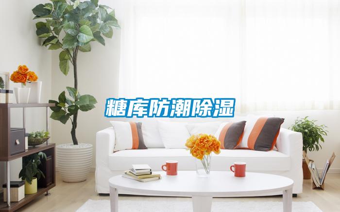 糖庫(kù)防潮除濕