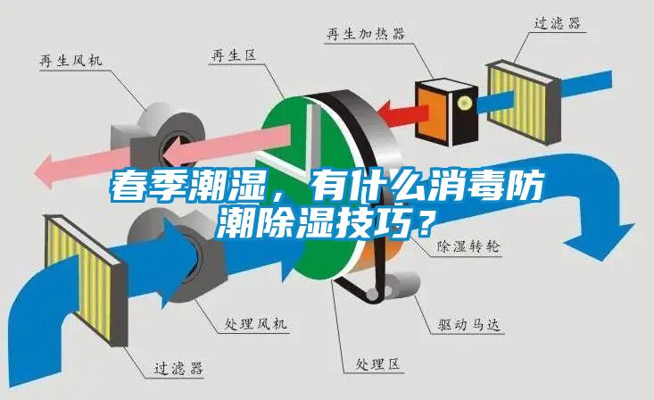春季潮濕，有什么消毒防潮除濕技巧？