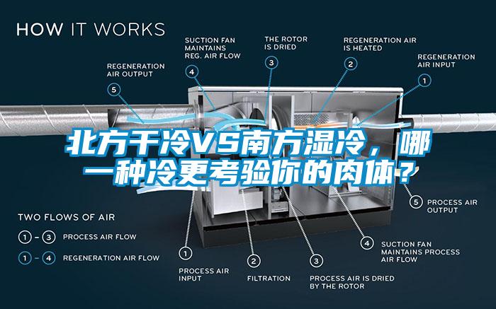 北方干冷VS南方濕冷，哪一種冷更考驗(yàn)?zāi)愕娜怏w？