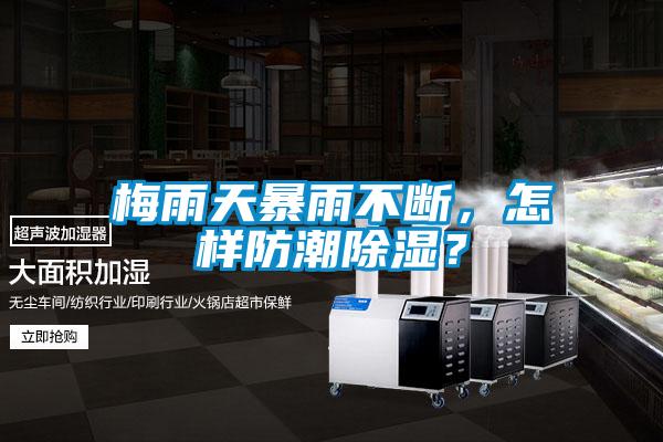 梅雨天暴雨不斷，怎樣防潮除濕？