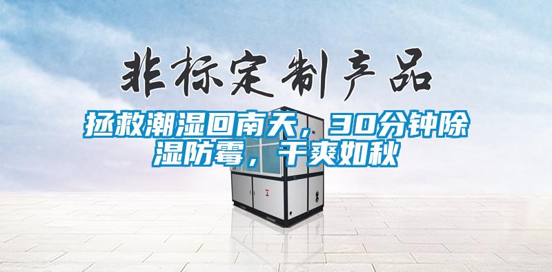 拯救潮濕回南天，30分鐘除濕防霉，干爽如秋