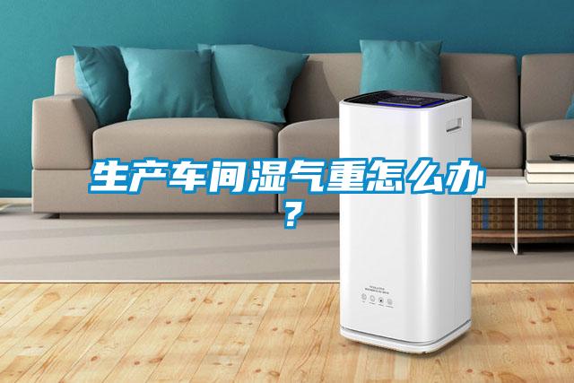 生產(chǎn)車間濕氣重怎么辦？