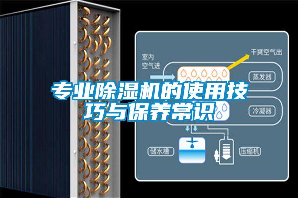 專業(yè)除濕機(jī)的使用技巧與保養(yǎng)常識(shí)
