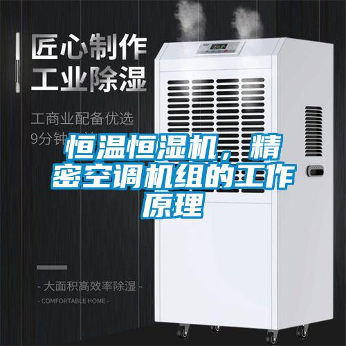 恒溫恒濕機(jī)，精密空調(diào)機(jī)組的工作原理