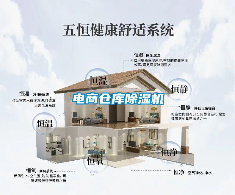 電商倉庫除濕機(jī)