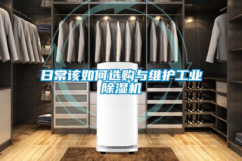 日常該如何選購與維護(hù)工業(yè)除濕機(jī)