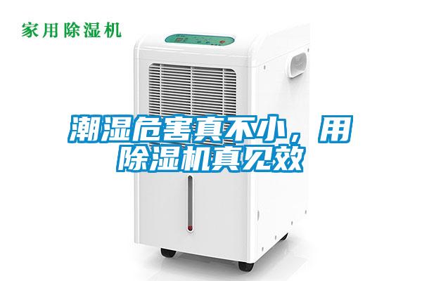 潮濕危害真不小，用除濕機(jī)真見效