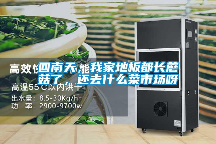 回南天，我家地板都長蘑菇了，還去什么菜市場呀