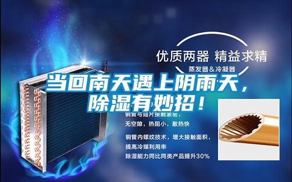 當回南天遇上陰雨天，除濕有妙招！