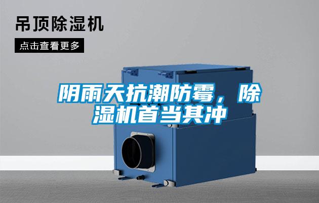 陰雨天抗潮防霉，除濕機(jī)首當(dāng)其沖