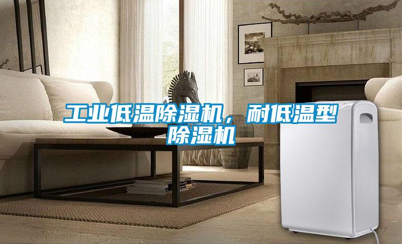 工業(yè)低溫除濕機，耐低溫型除濕機