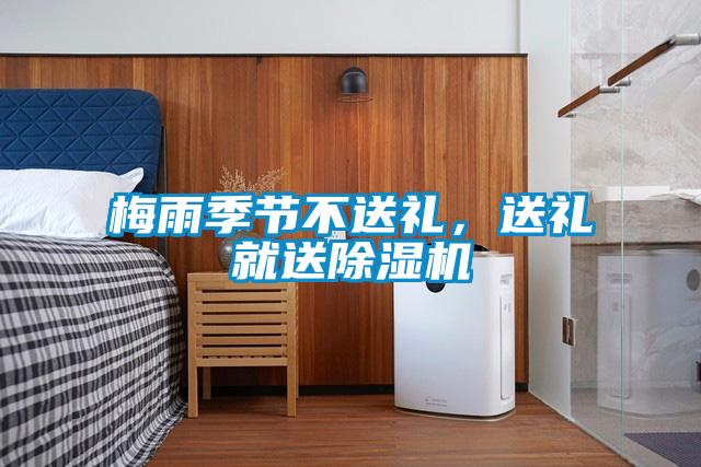 梅雨季節(jié)不送禮，送禮就送除濕機(jī)