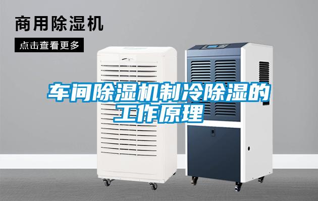 車間除濕機(jī)制冷除濕的工作原理