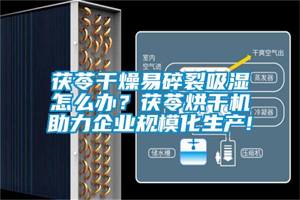 茯苓干燥易碎裂吸濕怎么辦？茯苓烘干機(jī)助力企業(yè)規(guī)模化生產(chǎn)!
