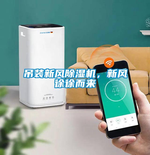吊裝新風(fēng)除濕機(jī)，新風(fēng)徐徐而來